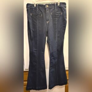 NWOT - Ariat Blue Flare Jeans with Seam Detailing